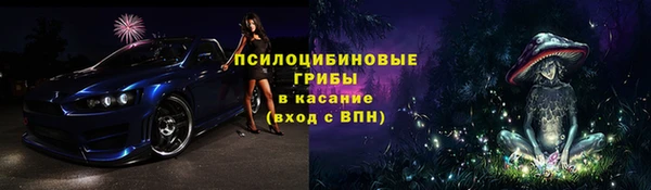 прущая мука Вяземский