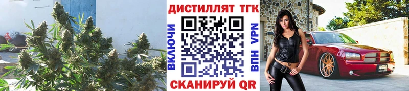 ТГК вейп  Ишим 